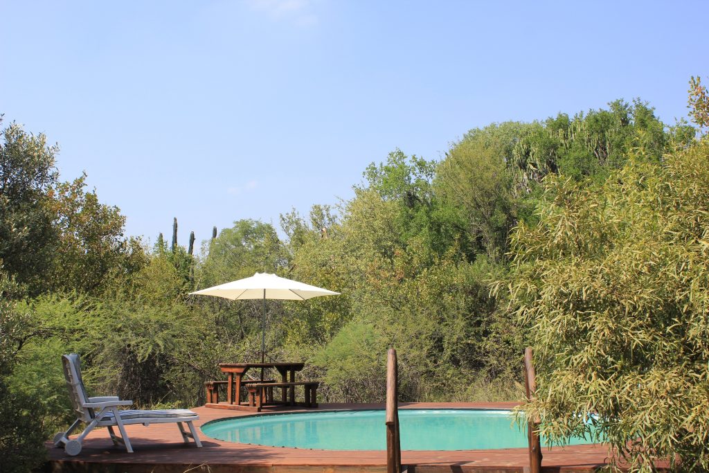 Pool Area 2