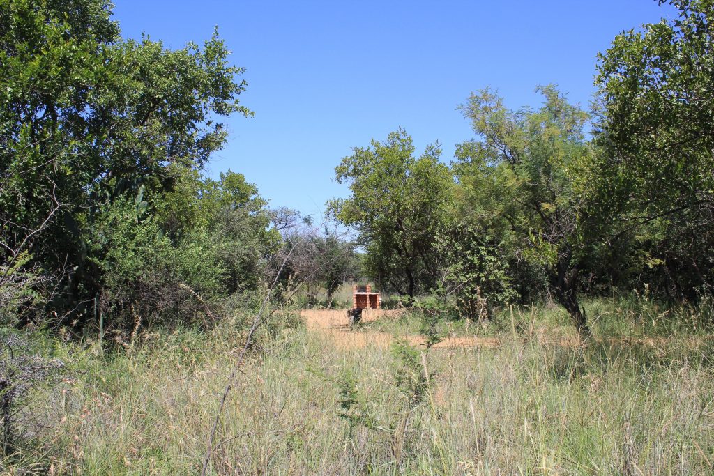 STANDS VIEWS (2)